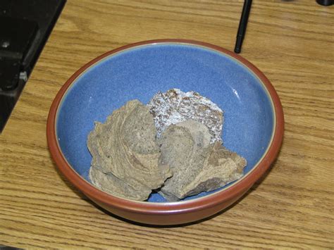 ambergris price per kilo|In Search of Ambergris, a Highly Prized Slurry of .